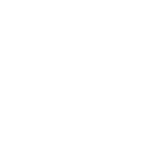 BWG Foods Logo