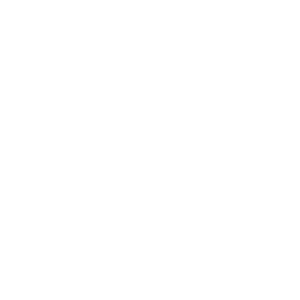 Maxol Logo